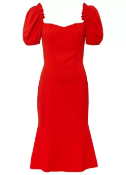 Puff Sleeve Party Dress -Mesh Sleeve Shop Puff Sleeve Party Dress918878FRSC